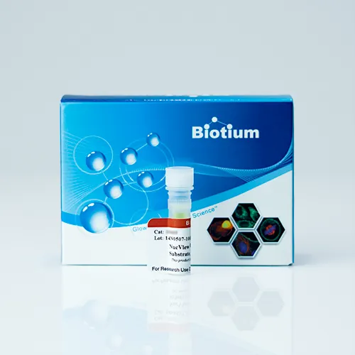 NucView® 488 Caspase-3 Substrate, 1mM in DMSO - image 1