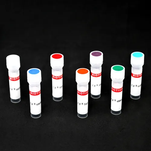 CF®568 Goat Anti-Mouse IgG (H+L), Highly Cross-Adsorbed (min X Rat) - image 1