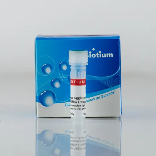 Ulex Europaeus Agglutinin I (UEA I), CF®640R Conjugate - image 1