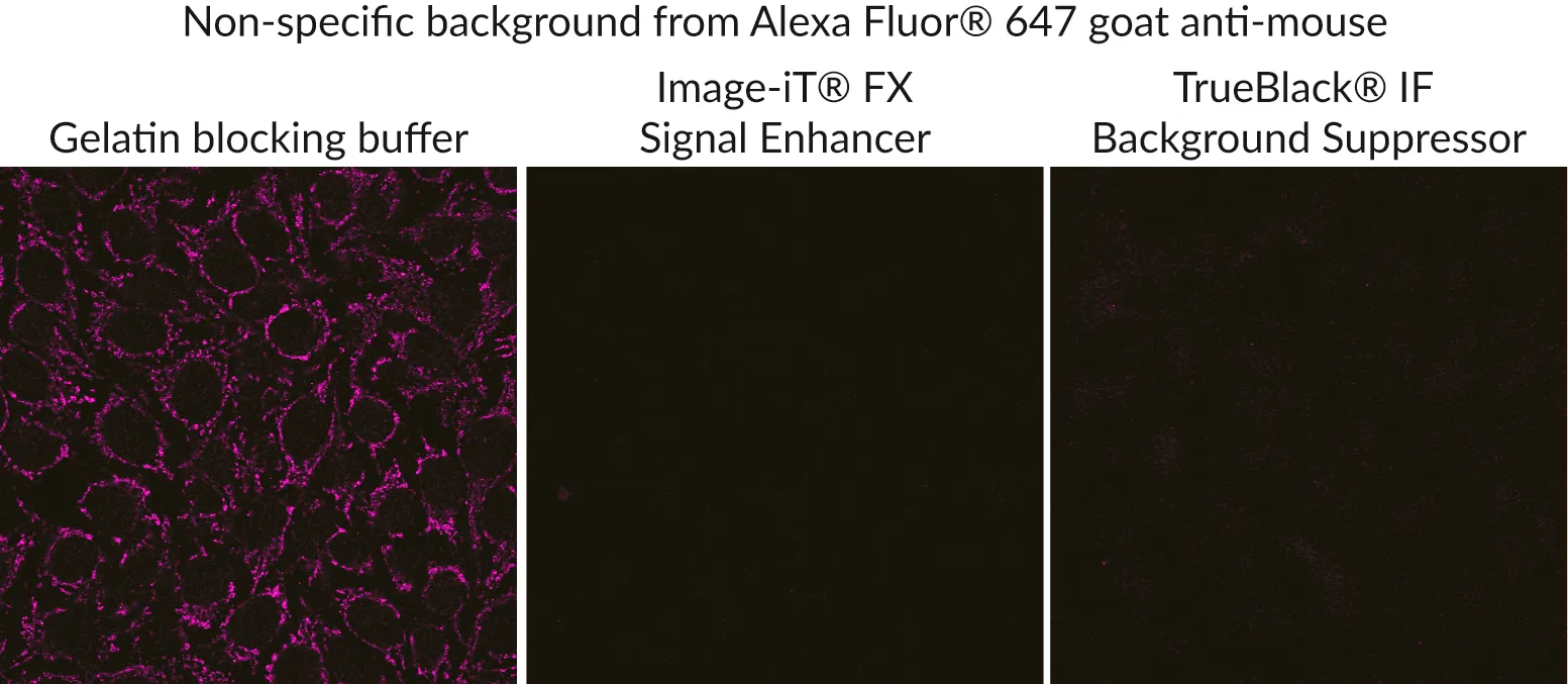 TrueBlack® IF Background Suppressor System (Permeabilizing) - image 3