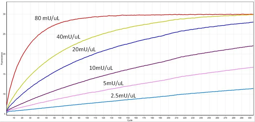 EvaEZ™ Fluorometric DNA Polymerase Activity Assay (200 rxn) - image 2