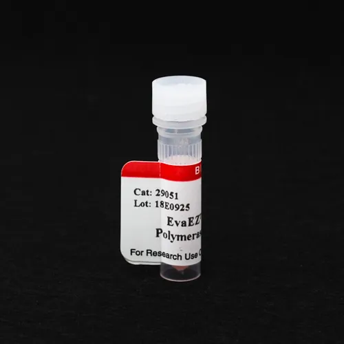 EvaEZ™ Fluorometric DNA Polymerase Activity Assay (200 rxn) - image 1