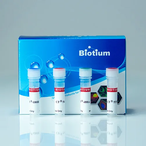 Concanavalin A, CF®770 Conjugate - image 1