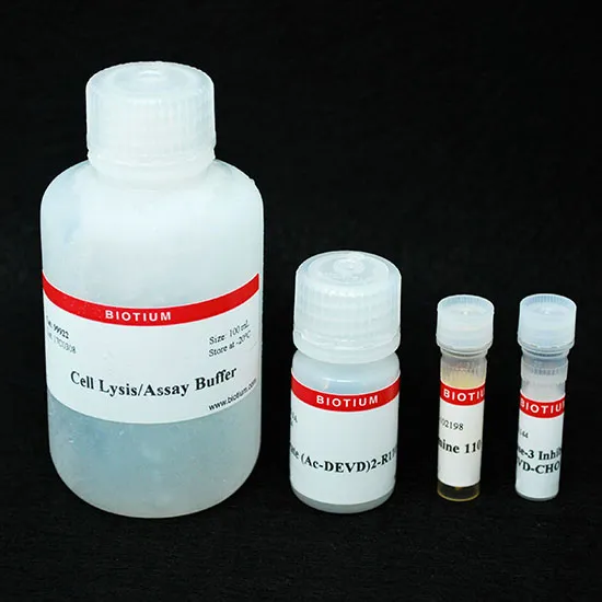 Caspase-3 DEVD-R110 Fluorometric HTS Assay Kit - image 1