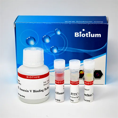 Apoptotic, Necrotic & Healthy Cells Quantification Kit (50 assays) - image 1