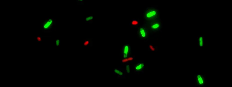 Viability/Cytotoxicity Assay kit for Bacteria Live and Dead Cells - image 2