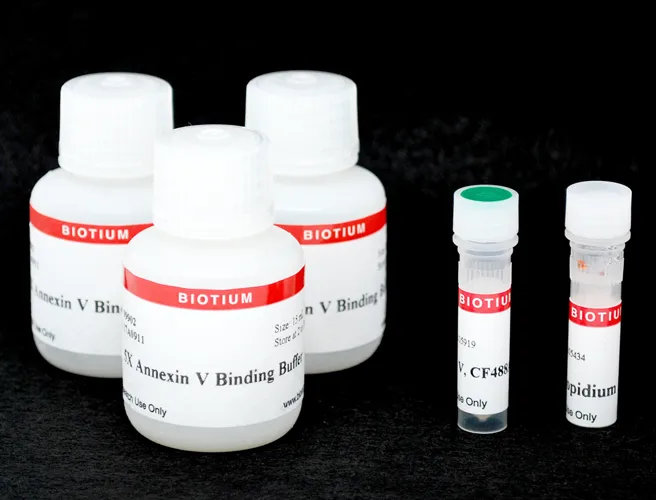 CF®488A and PI Apoptosis Assay Kit - image 1