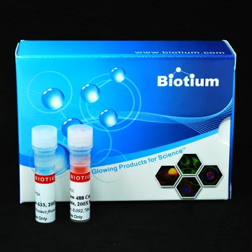 NucView® 488 and MitoView™ 633 Apoptosis Assay Kit (100 assays) - image 1