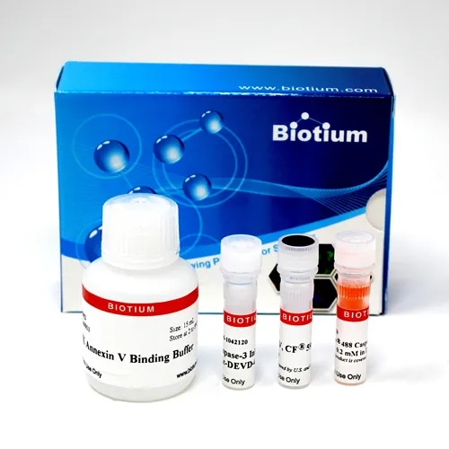 Dual Apoptosis Assay with NucView® 488 Caspase-3 Substrate and CF®594 Annexin V (50 assays) - image 1