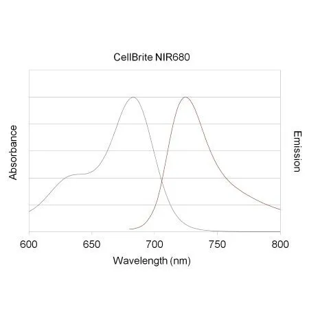 CellBrite™ NIR680 Cytoplasmic Membrane Dye, 2 mM in DMSO - image 4