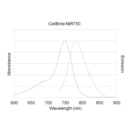 CellBrite™ NIR680 Cytoplasmic Membrane Dye, 2 mM in DMSO - image 5