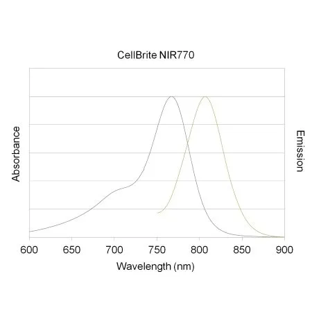 CellBrite™ NIR680 Cytoplasmic Membrane Dye, 2 mM in DMSO - image 6