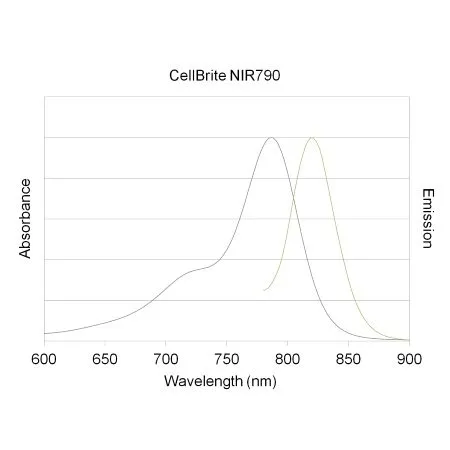 CellBrite™ NIR680 Cytoplasmic Membrane Dye, 2 mM in DMSO - image 7