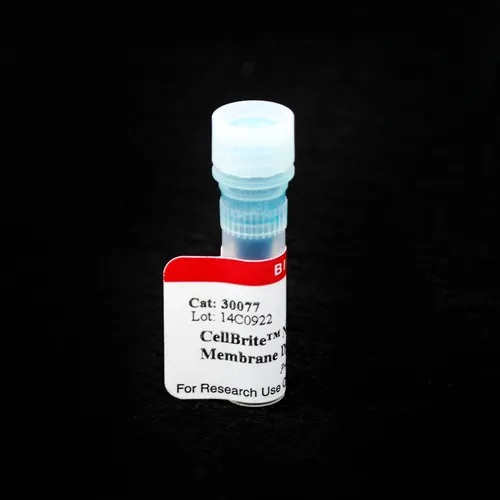 CellBrite™ NIR680 Cytoplasmic Membrane Dye, 2 mM in DMSO - image 1