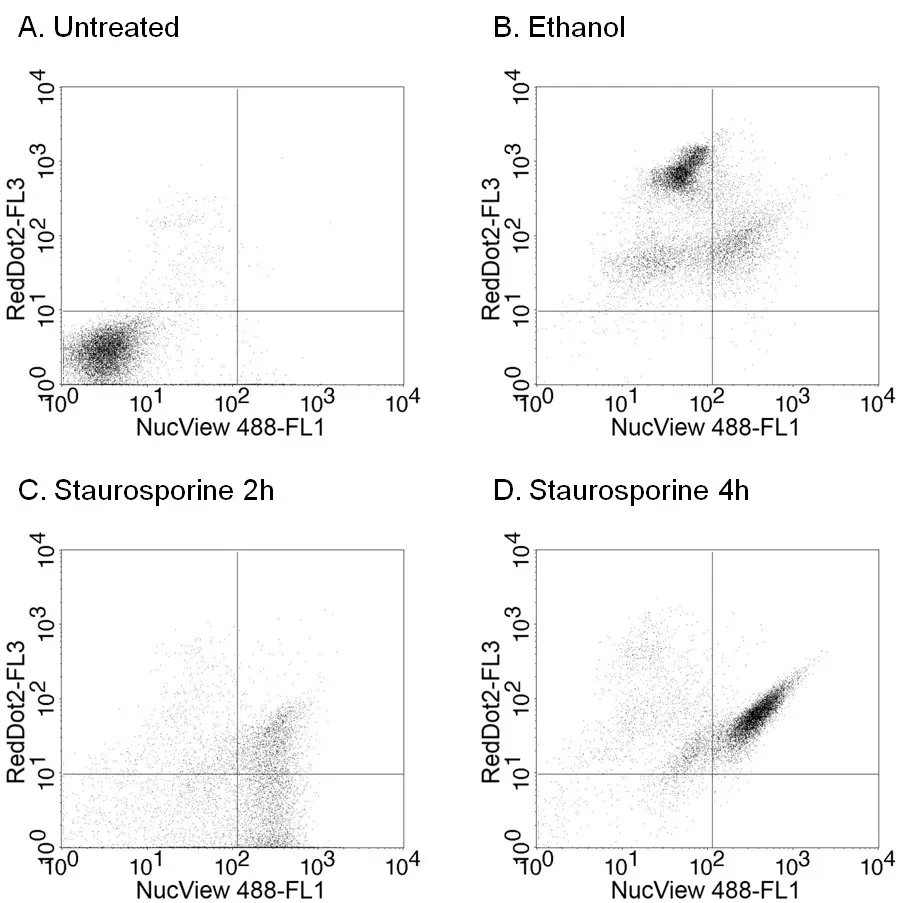 NucView® 488 and RedDot™ 2 Apoptosis & Necrosis Kit (100 assays) - image 2