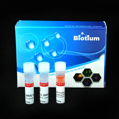 NucView® 488 and RedDot™ 2 Apoptosis & Necrosis Kit (100 assays) - image 1