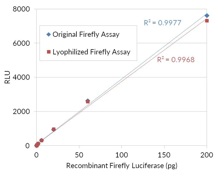 Firefly Luciferase Assay Kit (Lyophilized) - image 3