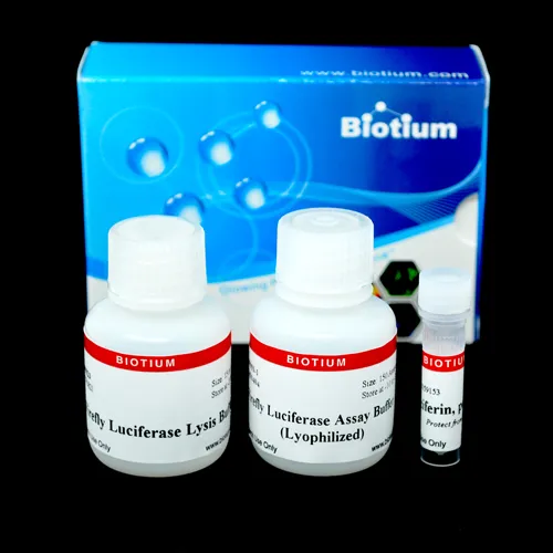 Firefly Luciferase Assay Kit (Lyophilized) - image 1