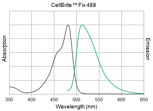CellBrite™ Fix 640 Membrane Labeling Kit - image 3