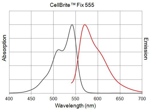 CellBrite™ Fix 640 Membrane Labeling Kit - image 4