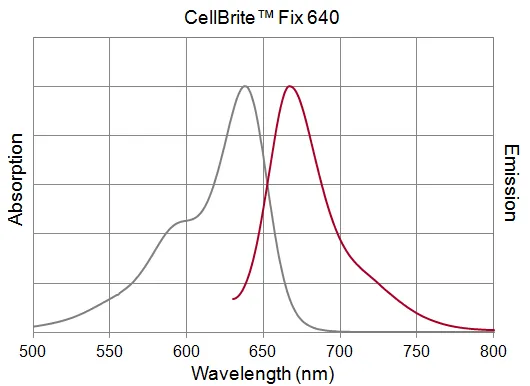 CellBrite™ Fix 640 Membrane Labeling Kit - image 5