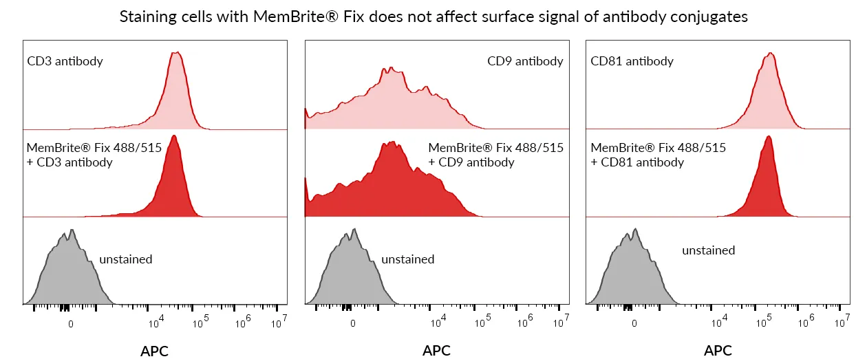 MemBrite™ Fix 568/580 Cell Surface Staining Kit, 500 Reactions - image 12