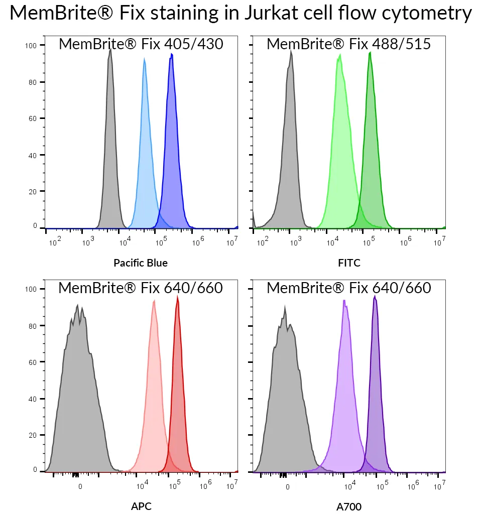 MemBrite™ Fix 568/580 Cell Surface Staining Kit, 500 Reactions - image 13