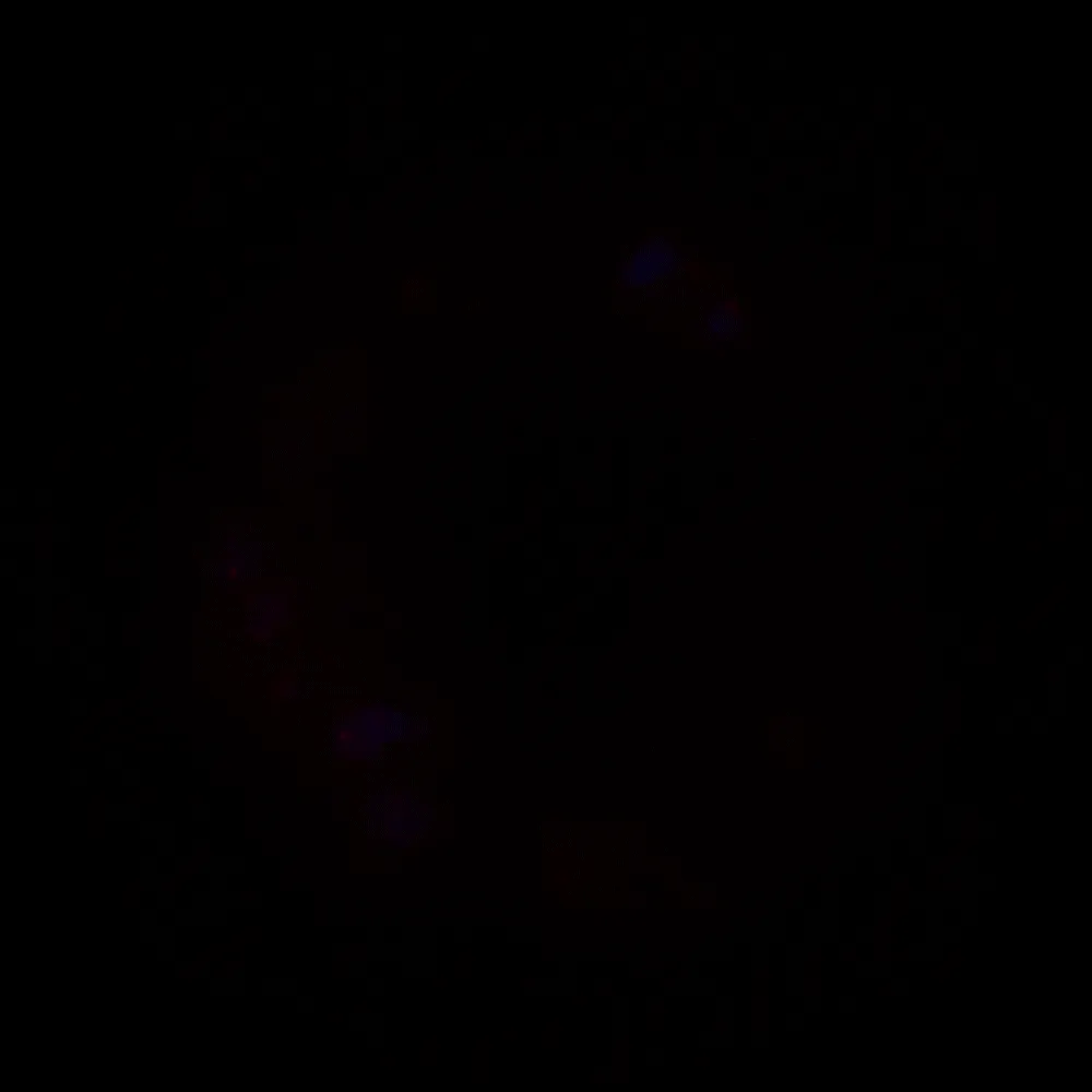 MemBrite™ Fix 594/615 Cell Surface Staining Kit, 500 Reactions - image 9