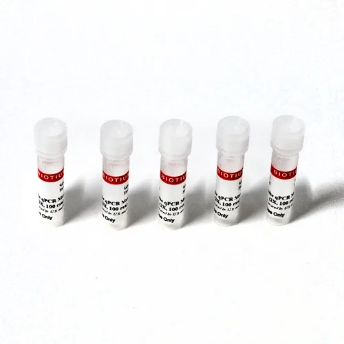 Fast Probe Master Mix (200 rxn) - image 1