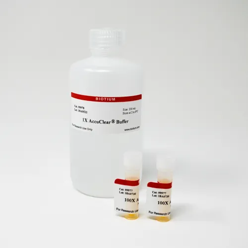 AccuClear® Ultra High Sensitivity dsDNA Quantitation Solution (1000 assays) - image 1