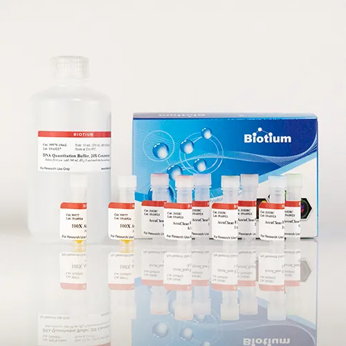 AccuClear® Ultra High Sensitivity dsDNA Quantitation Kit with DNA Standard, (200 assays) - image 1