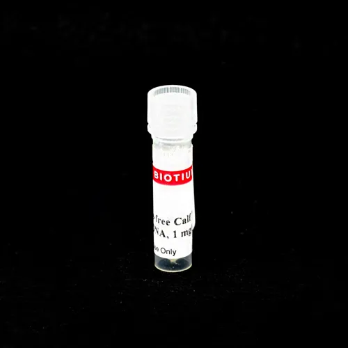 RNase-Free Calf Thymus DNA/mL (1 mL) - image 1
