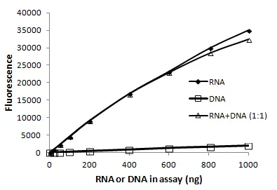 AccuBlue® Broad Range RNA Quantitation Kit (1000 assays) - image 3