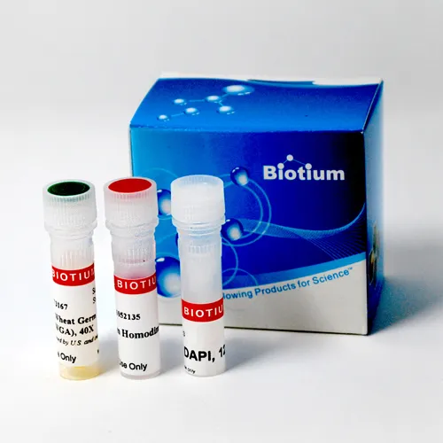 Bacterial Viability and Gram Stain Kit - 200 assays - image 1