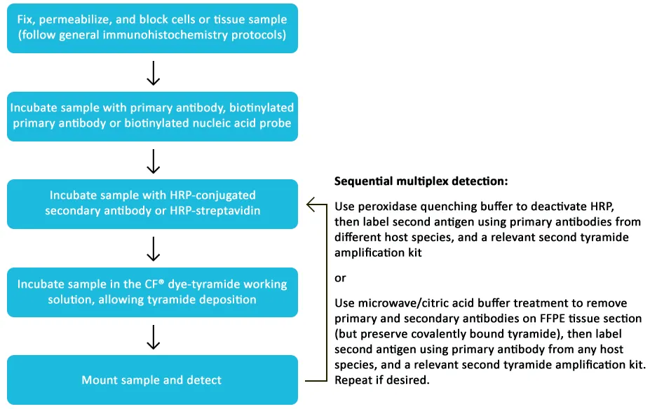 Tyramide Amplification Kit with HRP Streptavidin and CF®680R Tyramide - image 4