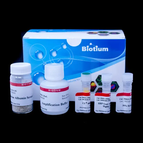 Tyramide Amplification Kit with HRP Streptavidin and CF®680R Tyramide - image 1