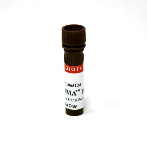 PMA - image 1