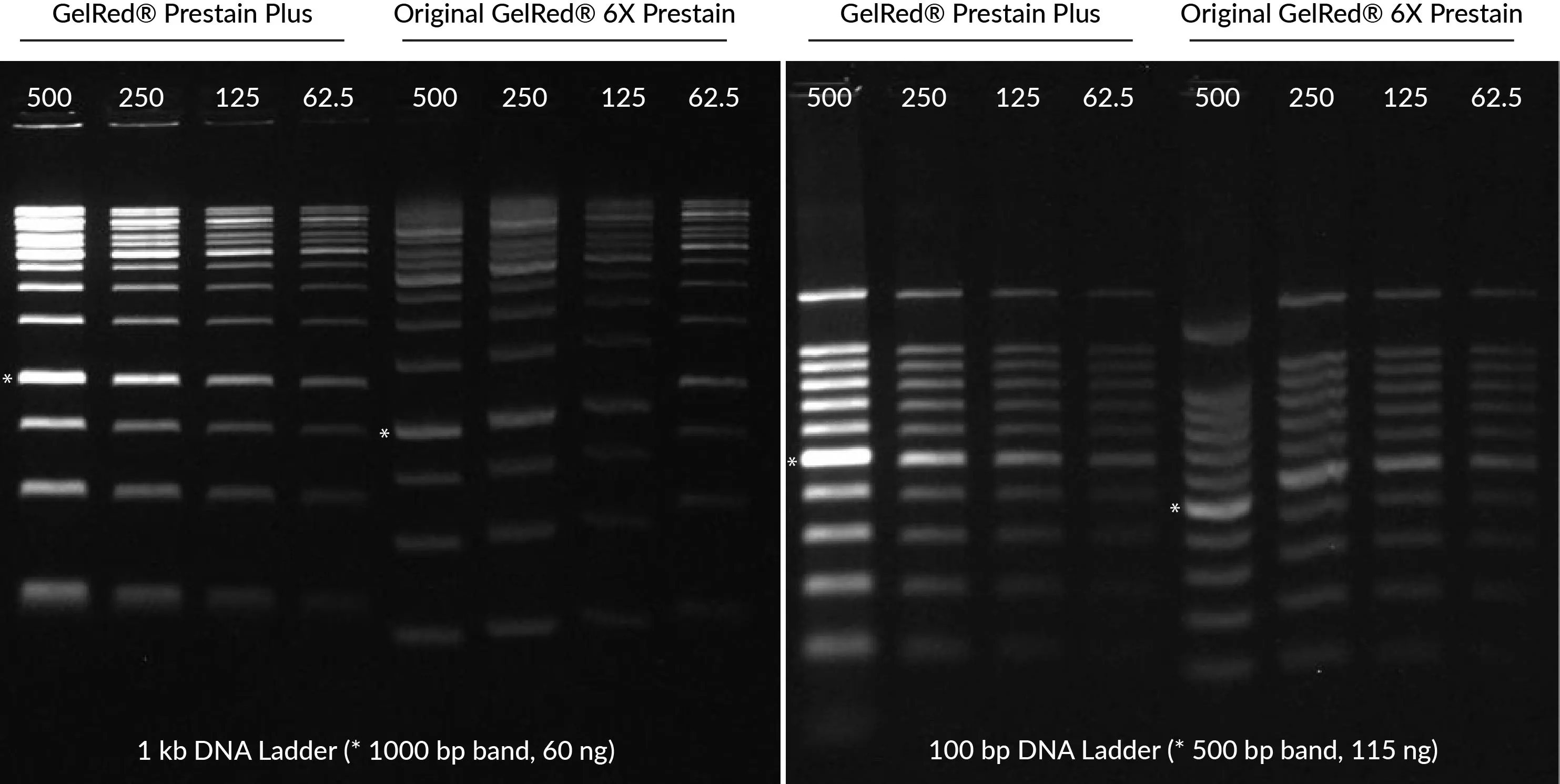 GelRed® Prestain Plus 6X DNA Loading Dye - image 3