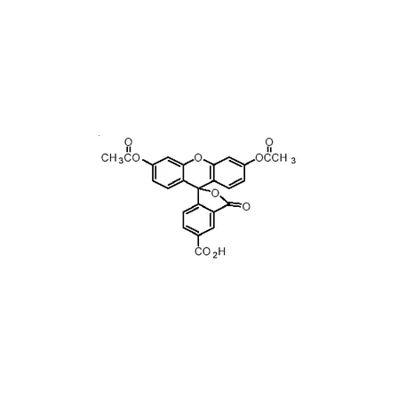 5-CFDA (5-Carboxyfluorescein Diacetate, - image 2