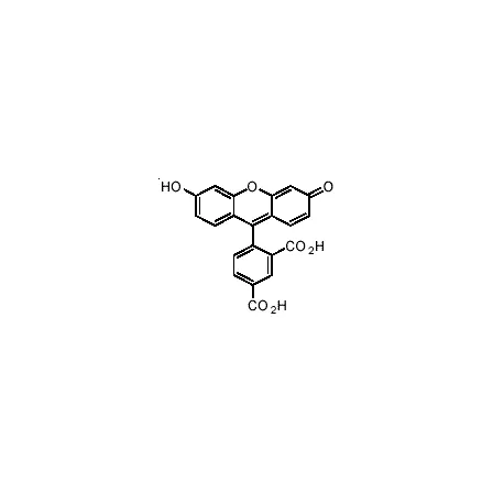 5-FAM (5-Carboxyfluorescein) - image 2