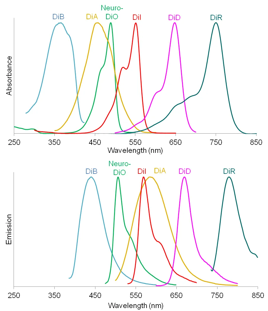 Dilinoleyl DiO - image 2