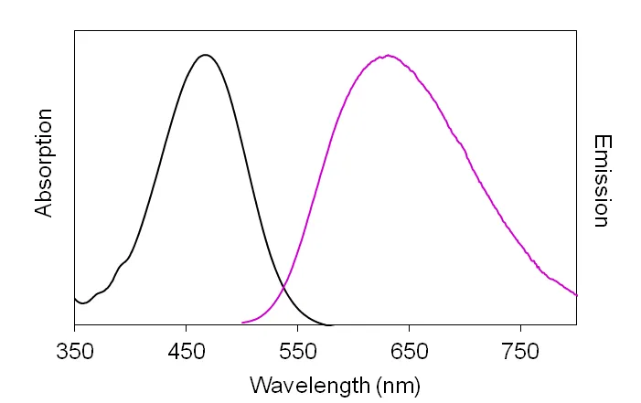 DI-4-ANEPPS - image 2