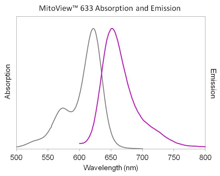 MitoView™ 633 - image 13
