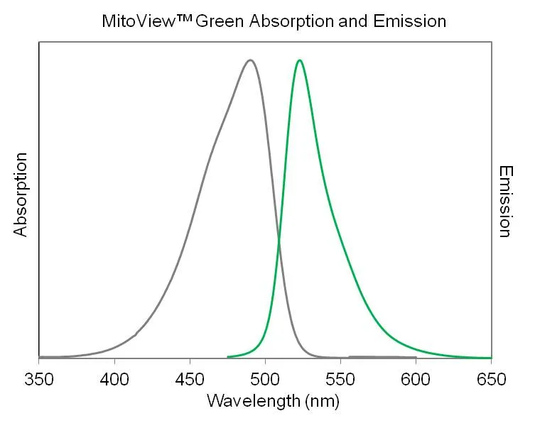MitoView™ 405 - image 12