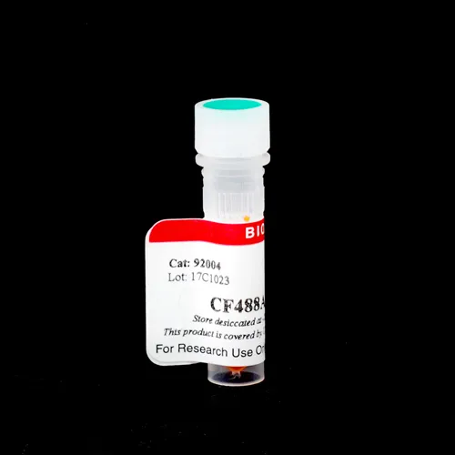 CF®640R Biocytin - image 1