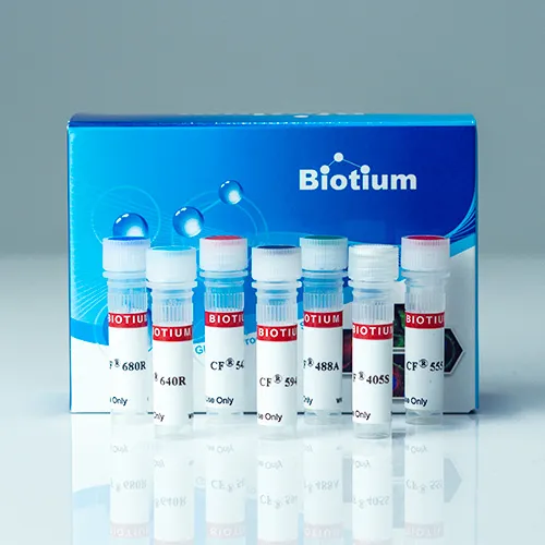CF®640R Maleimide - image 1