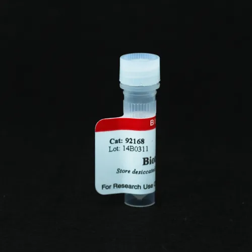 Biotin Alkyne - image 1