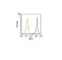 Anti-CD11a(Cris-3), CF543 conjugate - image 1