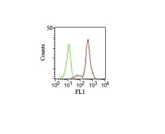 Anti-CD11c(HC1/1), CF640R conjugate - image 1