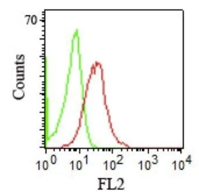 Anti-CD1b(RIV12), CF568 conjugate - image 1
